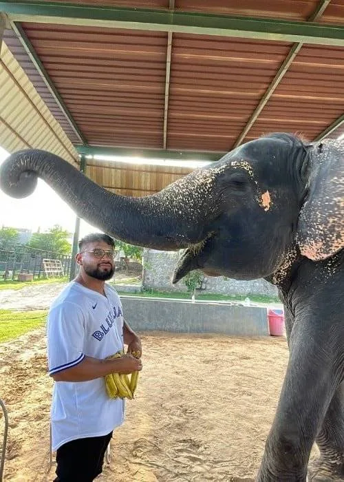 Feeding