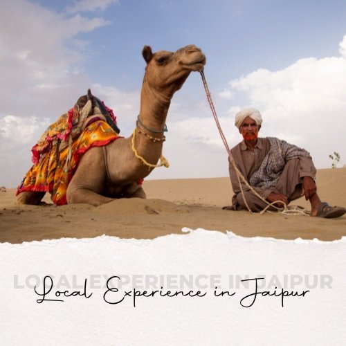 Local Experience