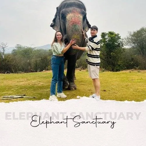Elefanjoy Special Tour